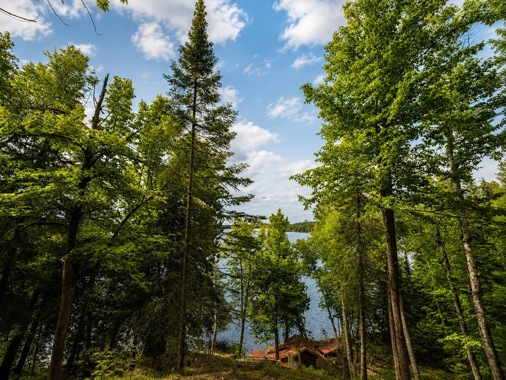 50573 Evergreenpoint Road Bigfork, MN 56628