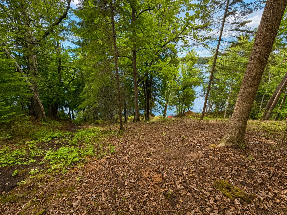 50573 Evergreenpoint Road Bigfork, MN 56628