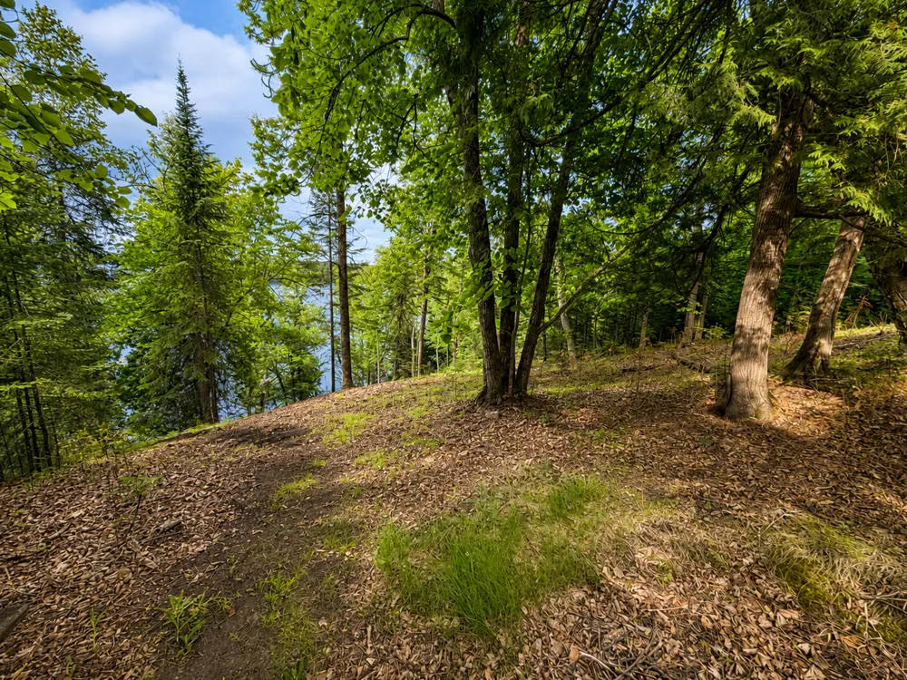 50573 Evergreenpoint Road Bigfork, MN 56628