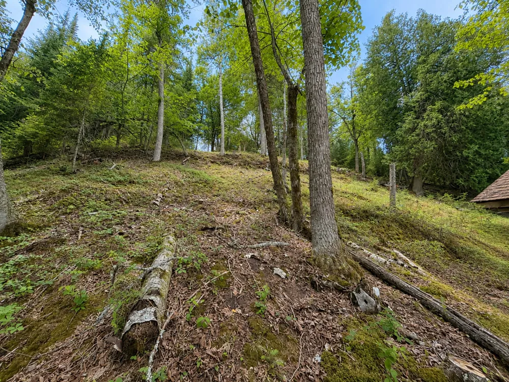 50573 Evergreenpoint Road Bigfork, MN 56628