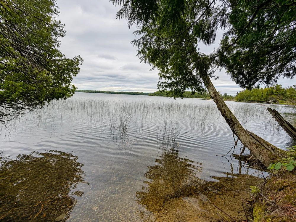 50573 Evergreenpoint Road Bigfork, MN 56628