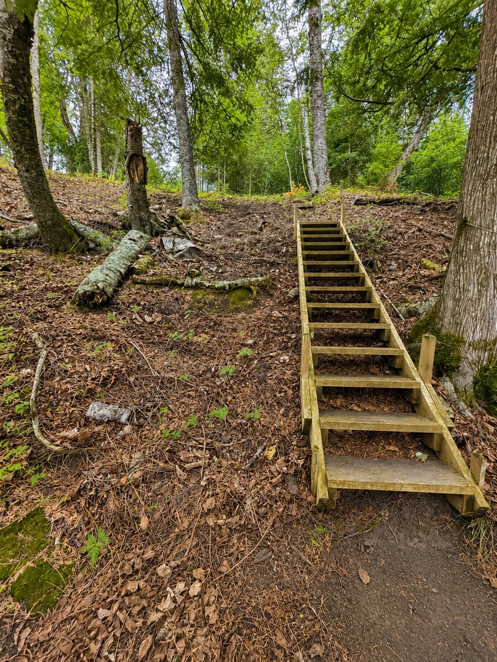 50573 Evergreenpoint Road Bigfork, MN 56628