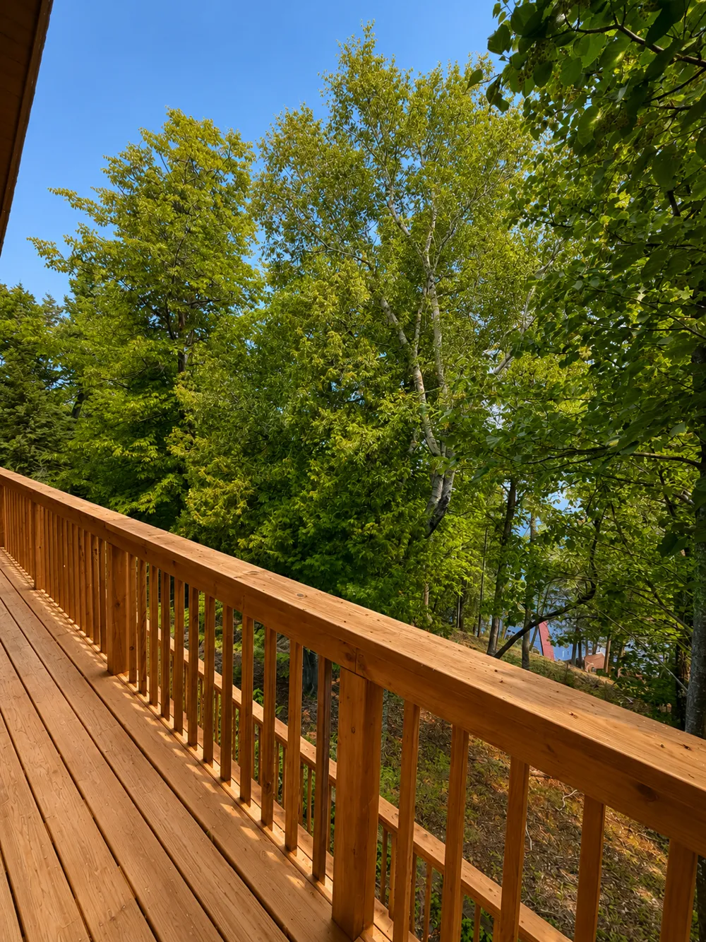50573 Evergreenpoint Road Bigfork, MN 56628