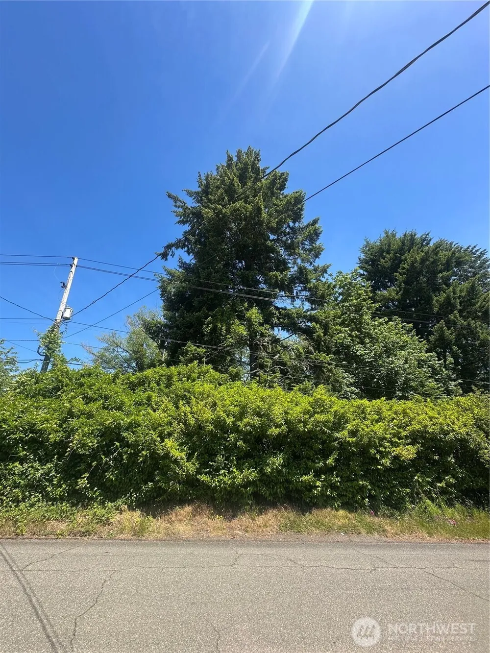 0 W Harvard Avenue Shelton, WA 98584