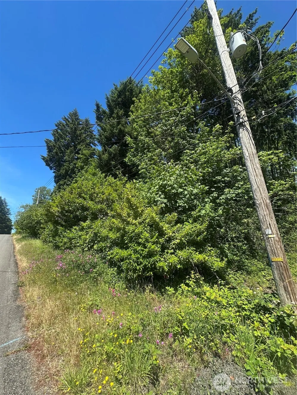 0 W Harvard Avenue Shelton, WA 98584