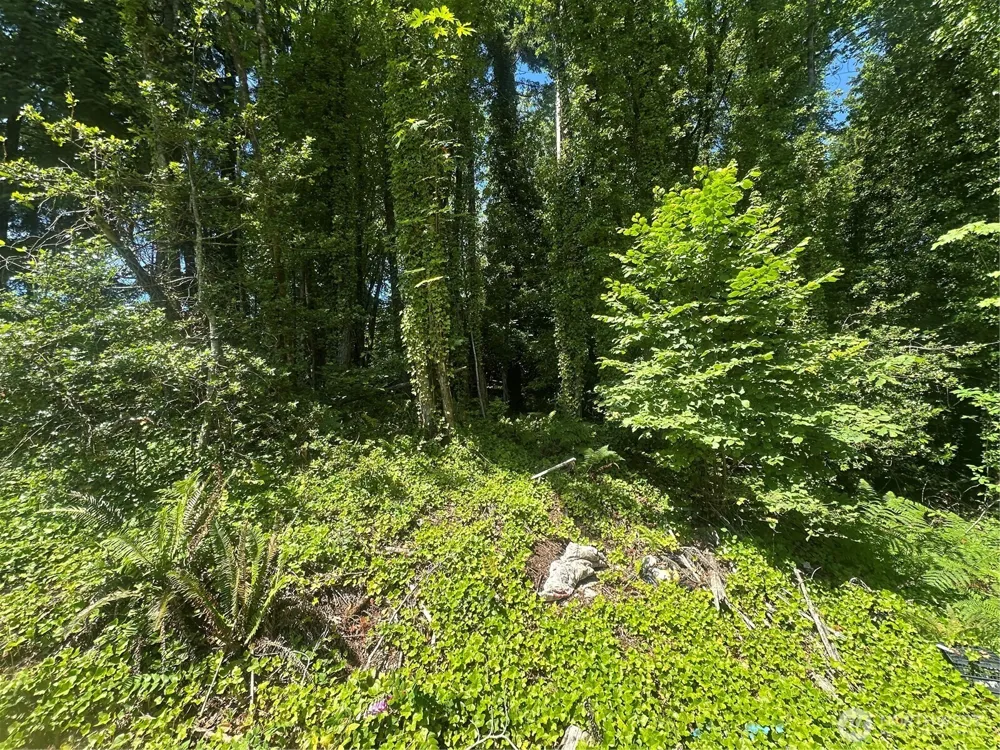 0 W Harvard Avenue Shelton, WA 98584
