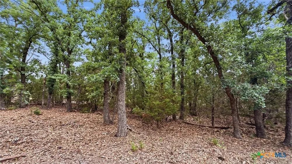 97 PR 42101 Evant, TX 76566