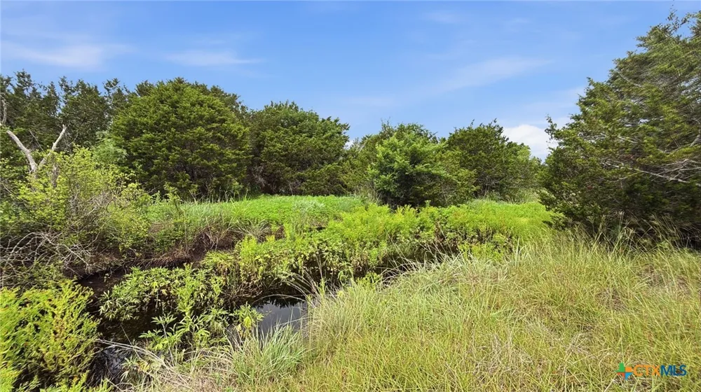 97 PR 42101 Evant, TX 76566