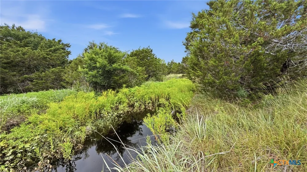 97 PR 42101 Evant, TX 76566