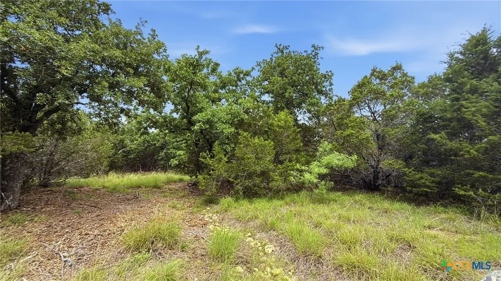 97 PR 42101 Evant, TX 76566