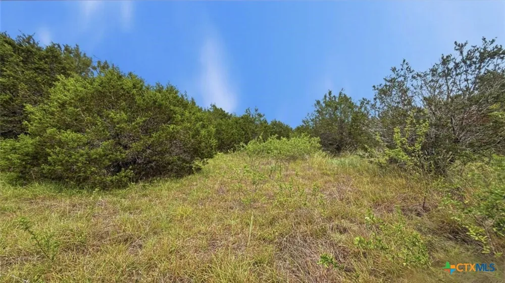 97 PR 42101 Evant, TX 76566