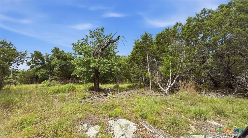 97 PR 42101 Evant, TX 76566