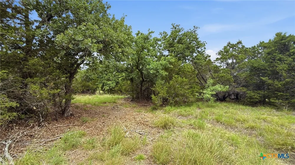 97 PR 42101 Evant, TX 76566