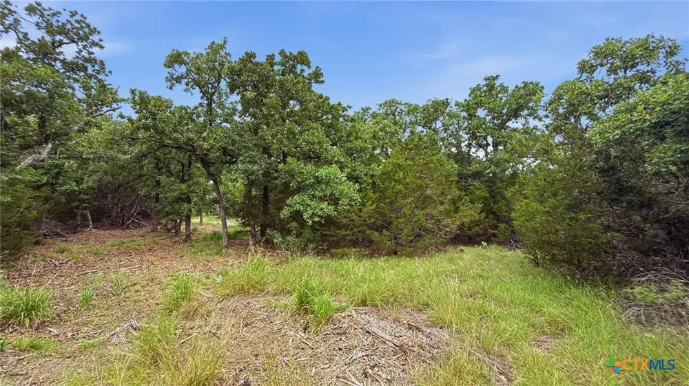 97 PR 42101 Evant, TX 76566