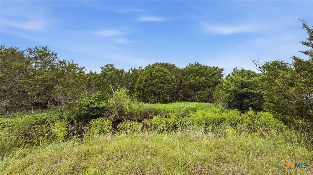 97 PR 42101 Evant, TX 76566