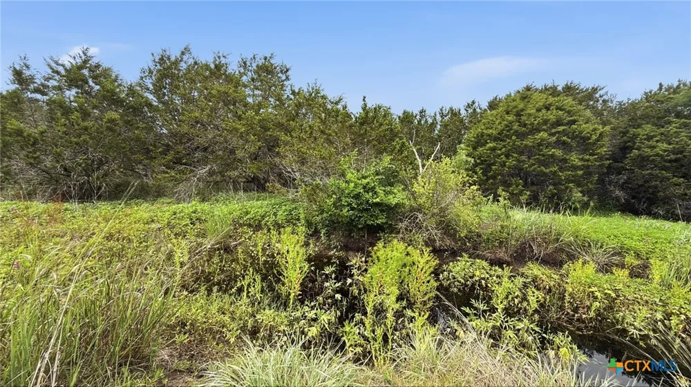 97 PR 42101 Evant, TX 76566