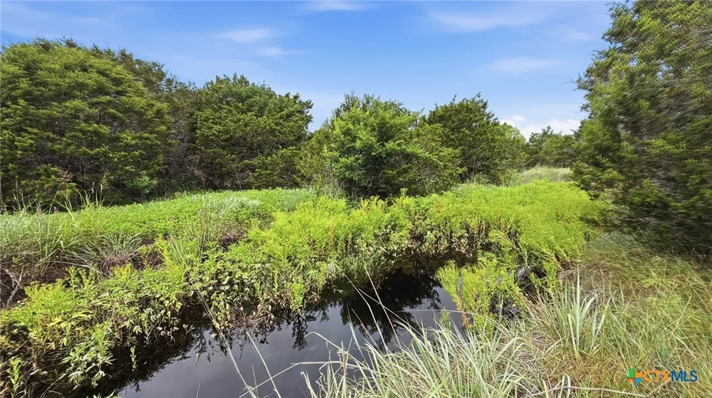97 PR 42101 Evant, TX 76566