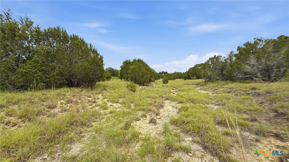 97 PR 42101 Evant, TX 76566