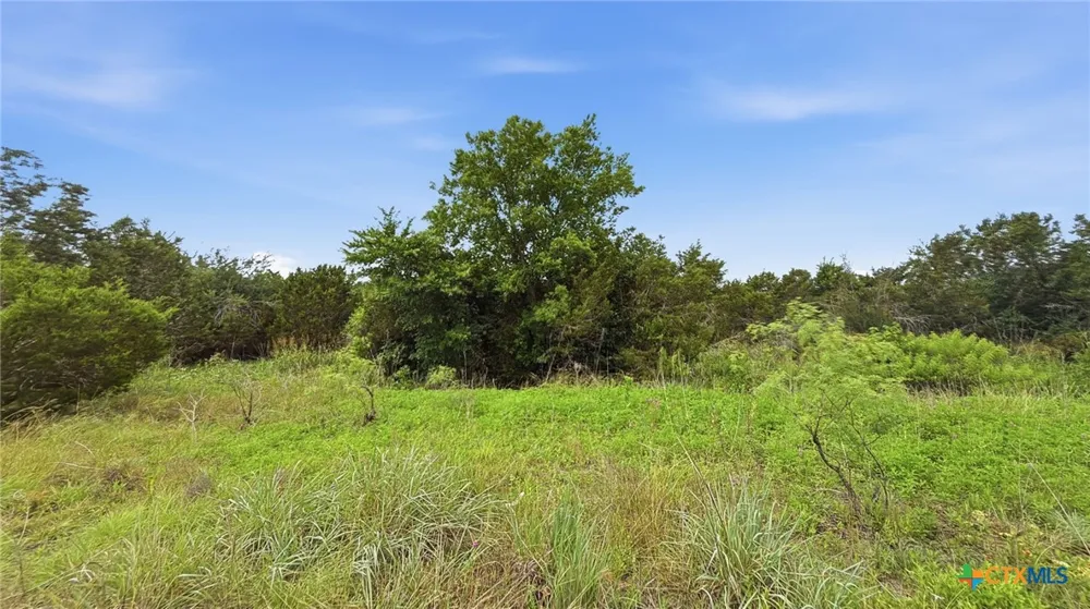 97 PR 42101 Evant, TX 76566