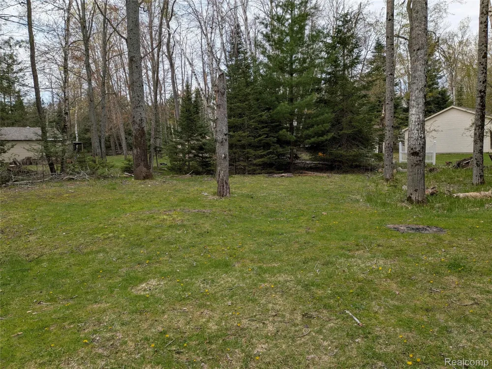 4365 Norway Road Alcona Township, MI 48742