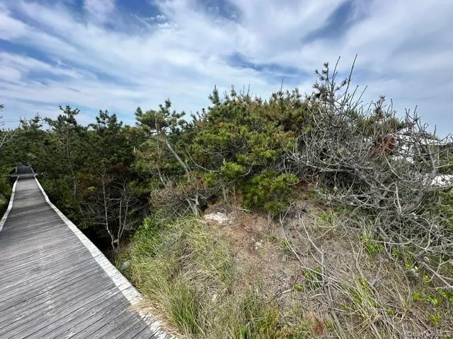 54A Lewis Walk Cherry Grove, NY 11782