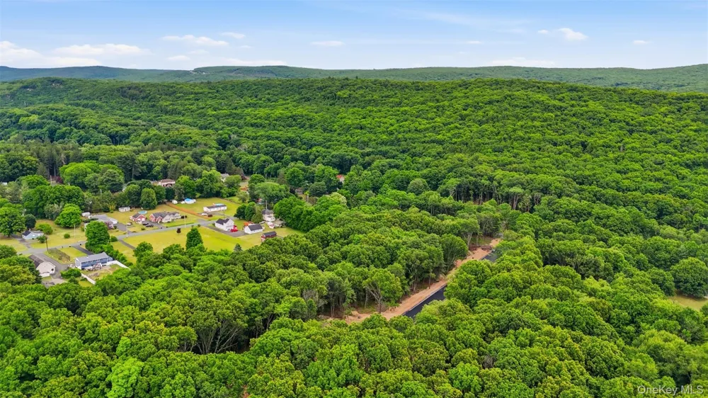 5 James Place Port Jervis, NY 12771