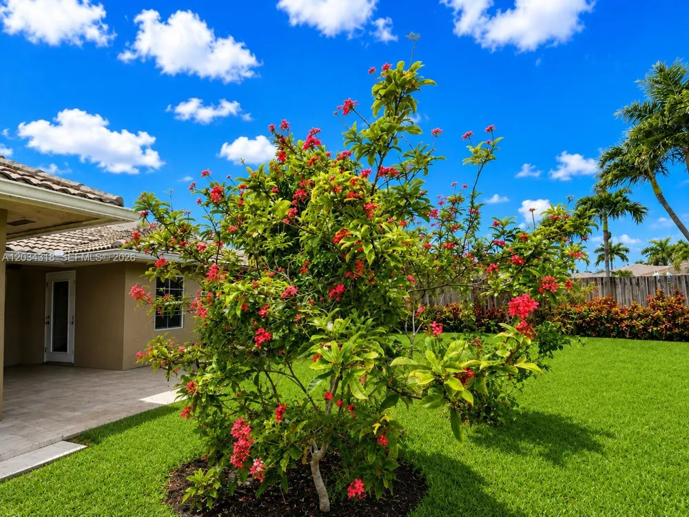14856 SW 179th St Miami, FL 33187