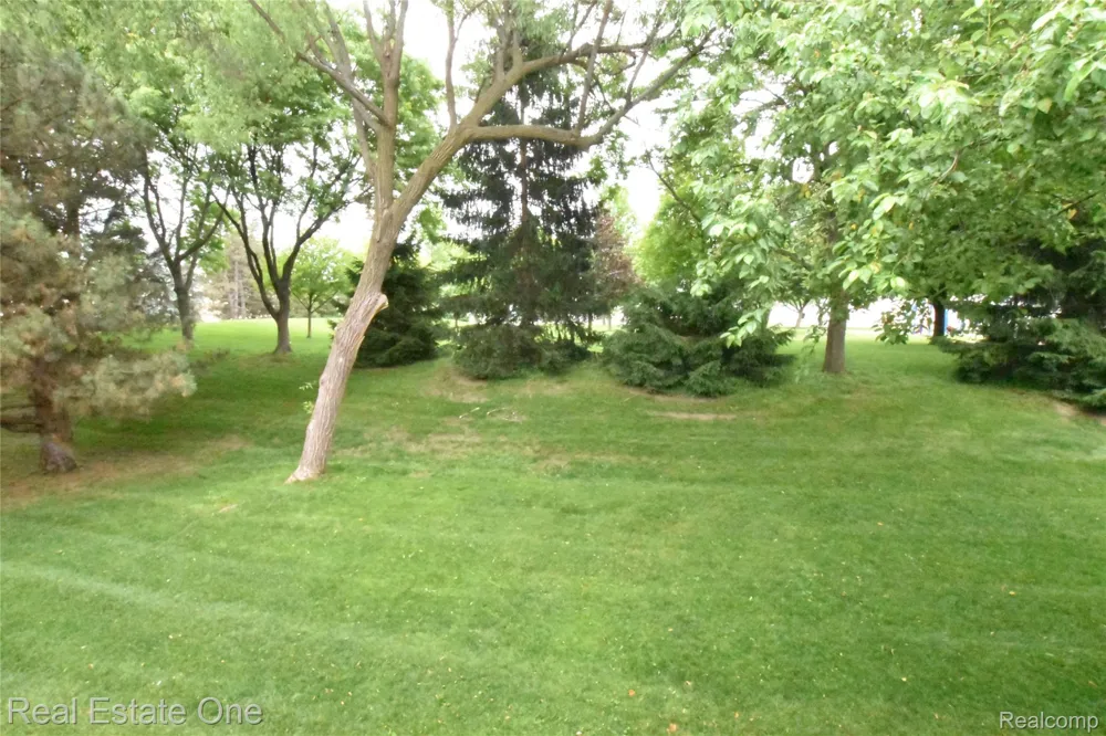 555 Winwood Court Walled Lake City, MI 48390