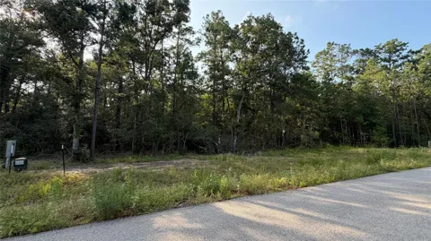 202 County Road 6311
