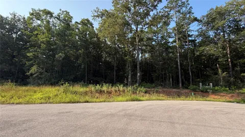 230 County Road 6311
