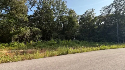 217 County Road 6311