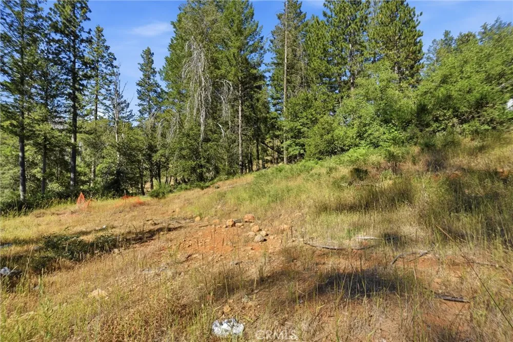 16132 Ponderosa Cobb, CA 95426