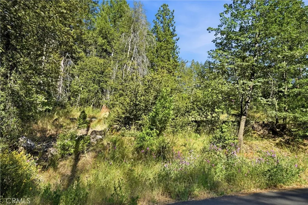 16132 Ponderosa Cobb, CA 95426