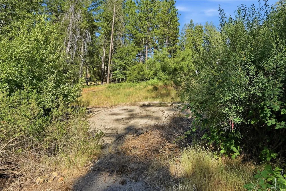 16132 Ponderosa Cobb, CA 95426