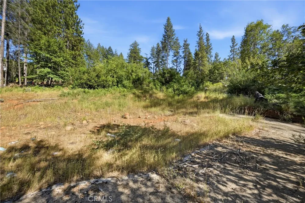 16132 Ponderosa Cobb, CA 95426