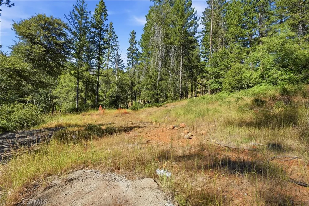 16132 Ponderosa Cobb, CA 95426