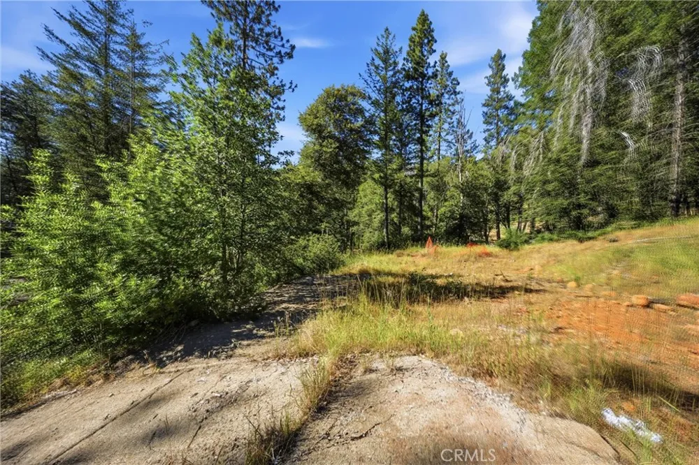 16132 Ponderosa Cobb, CA 95426