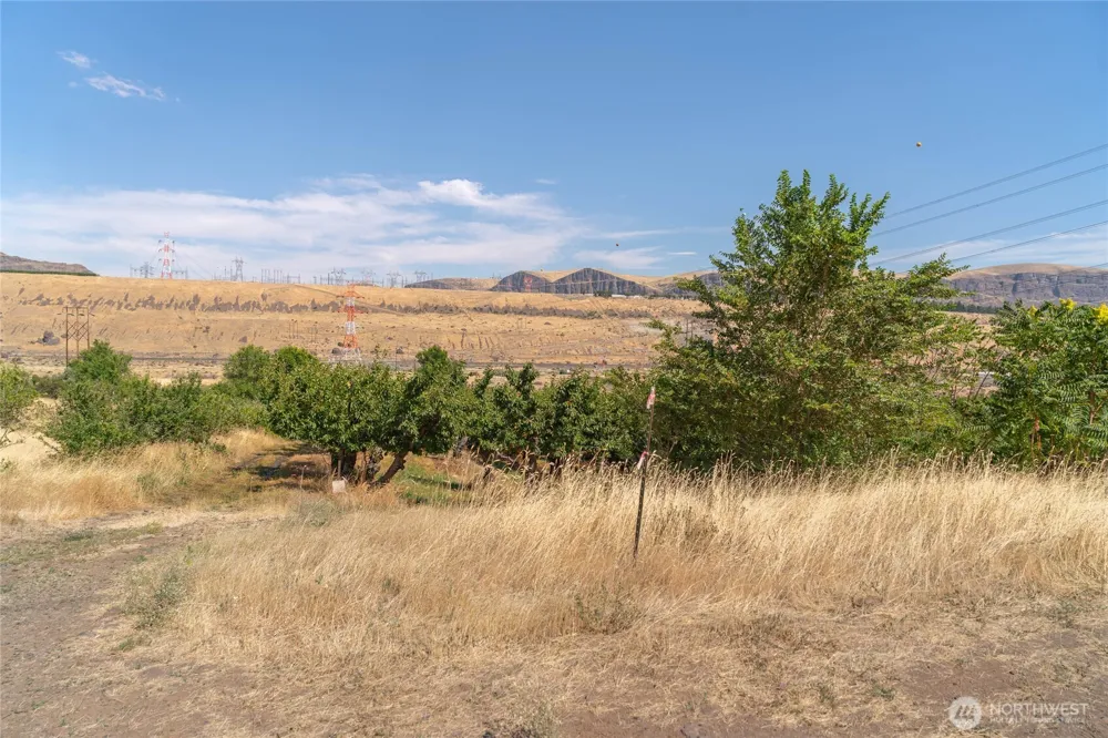 7199 Lots 1-2 Tarpiscan Road Malaga, WA 98828