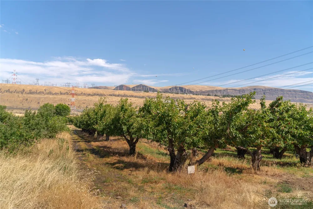 7199 Lots 1-2 Tarpiscan Road Malaga, WA 98828