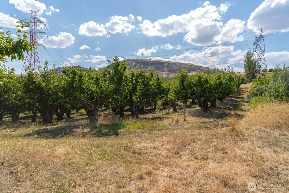 7199 Lots 1-2 Tarpiscan Road Malaga, WA 98828