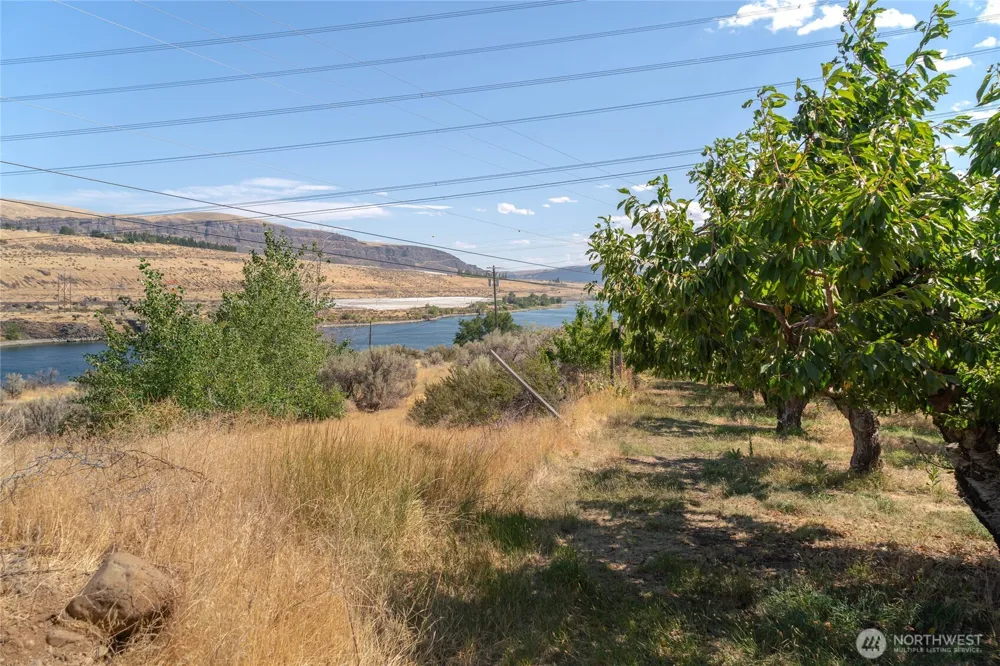 7199 Lots 1-2 Tarpiscan Road Malaga, WA 98828