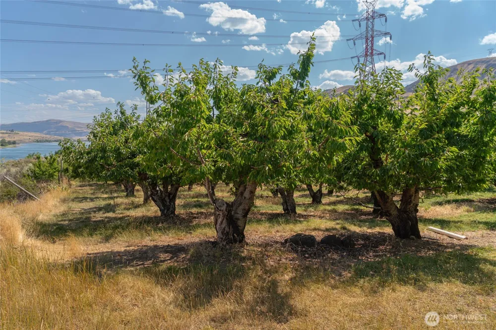 7199 Lots 1-2 Tarpiscan Road Malaga, WA 98828