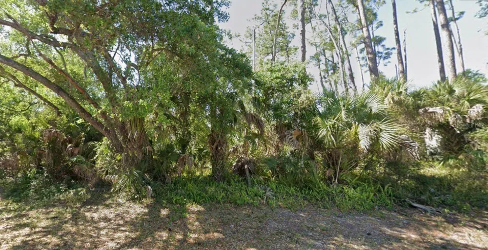 17469 & 17477 DUDLEY AVENUE Port Charlotte, FL 33954