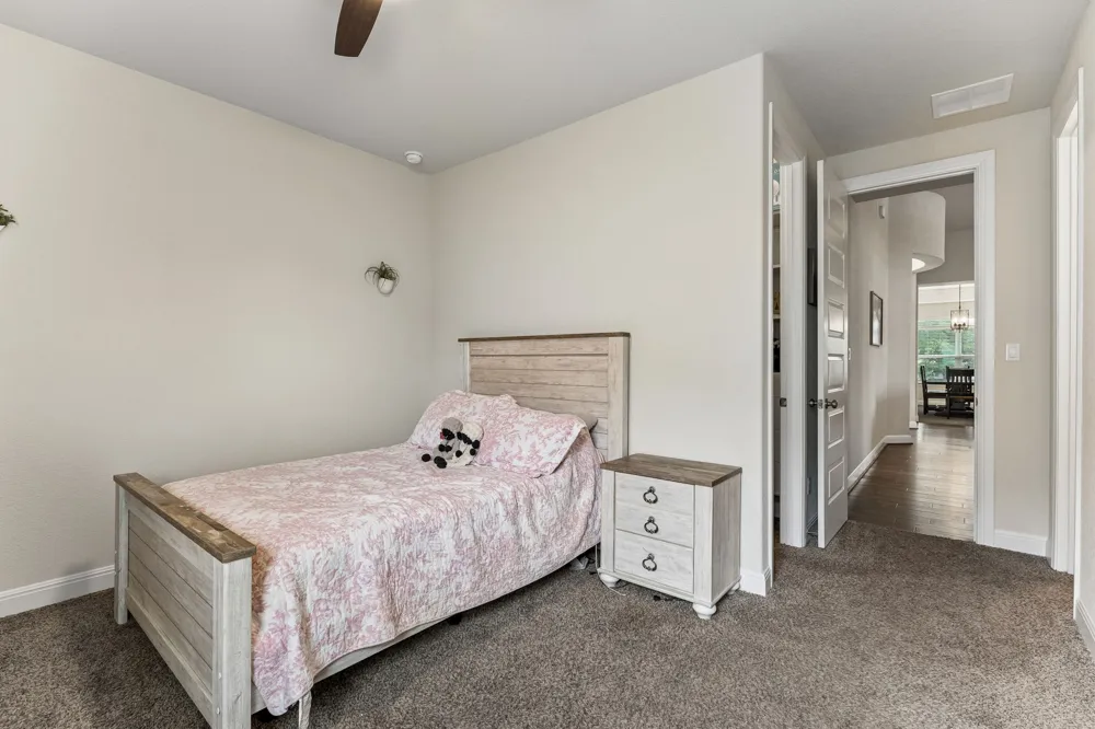 238 Arapaho Drive Kyle, TX 78640