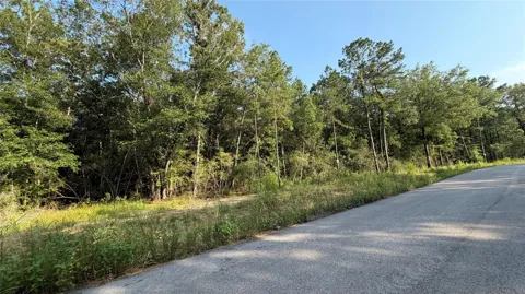 205 County Road 6311