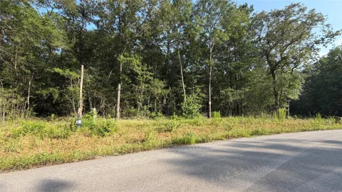 209 County Road 6311