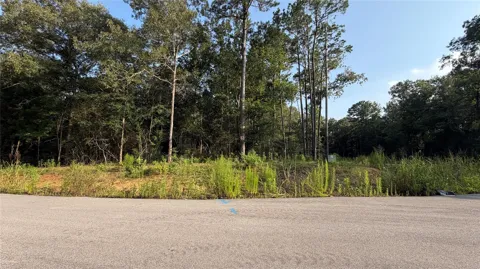 221 County Road 6311
