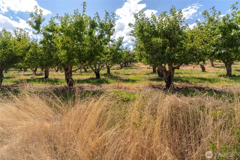 7199 Lot 3 Tarpiscan Road