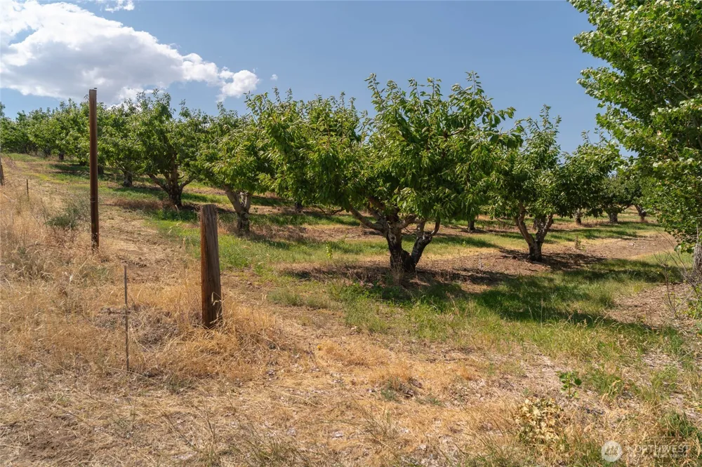 7199 Lot 3 Tarpiscan Road Malaga, WA 98828