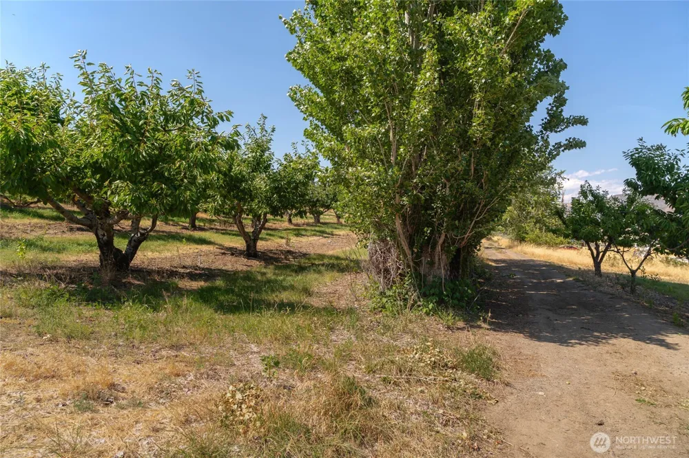 7199 Lot 3 Tarpiscan Road Malaga, WA 98828